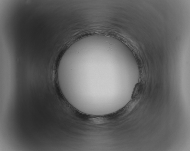 X0000102860417200808181029