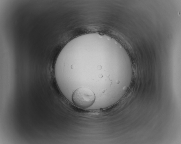 X0000102860418200808181029