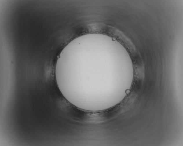 X0000102860419200808181029