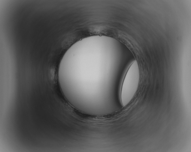 X0000102860420200808181029