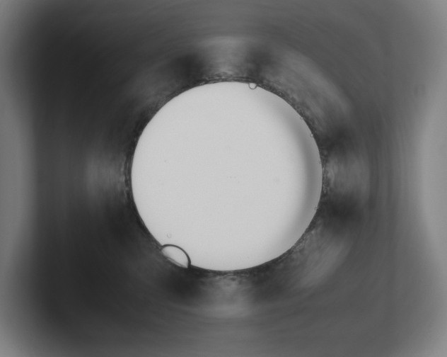 X0000102860423200808181029
