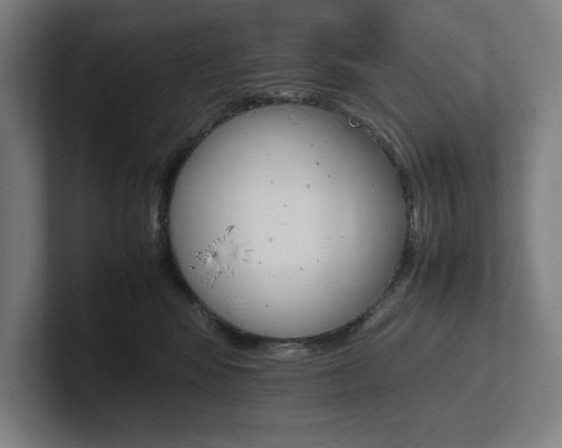 X0000102860424200808181029