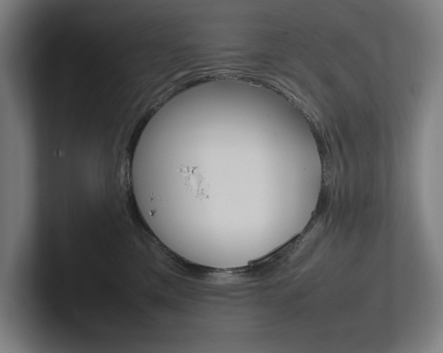 X0000102860425200808181029