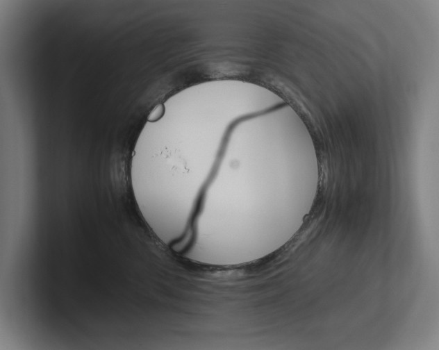 X0000102860426200808181029