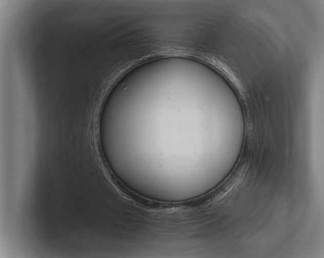 X0000102860433200808181028