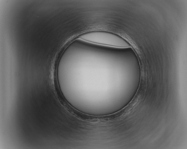 X0000102860434200808181028