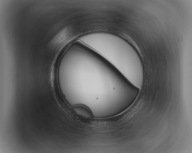 X0000102860435200808181028