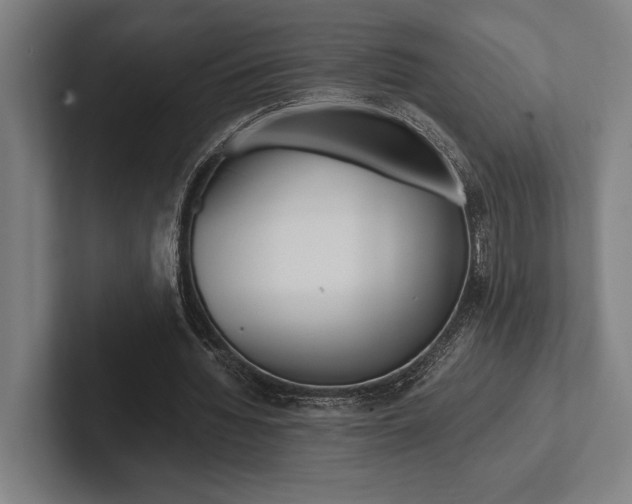 X0000102860436200808181028