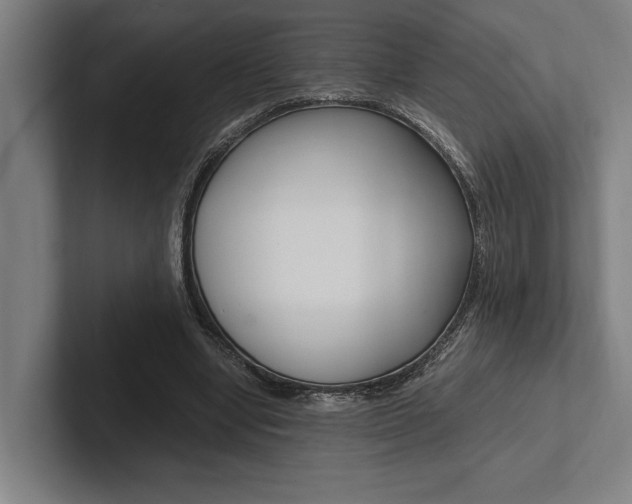 X0000102860442200808181029