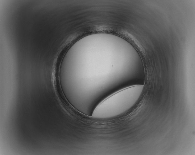 X0000102860443200808181029