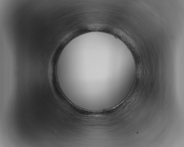 X0000102860448200808181029