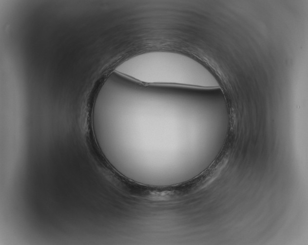 X0000102860450200808181029