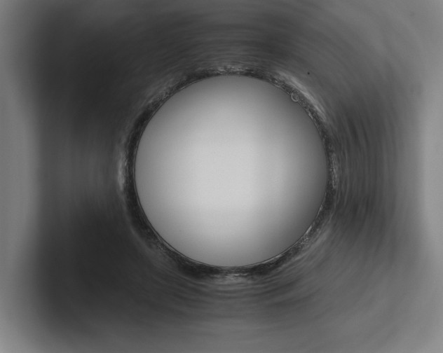 X0000102860451200808181029