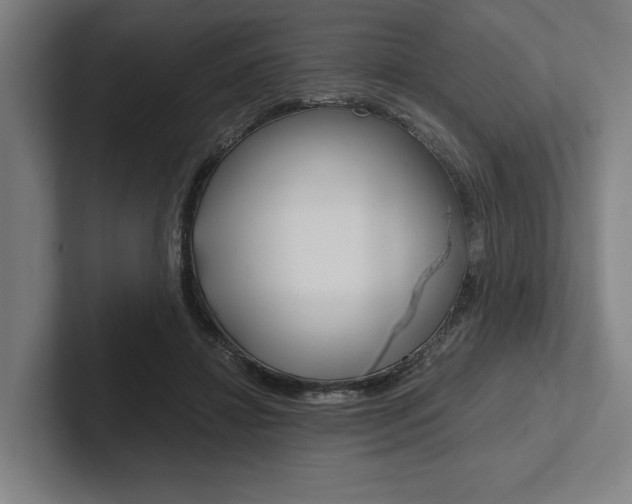 X0000102860452200808181029