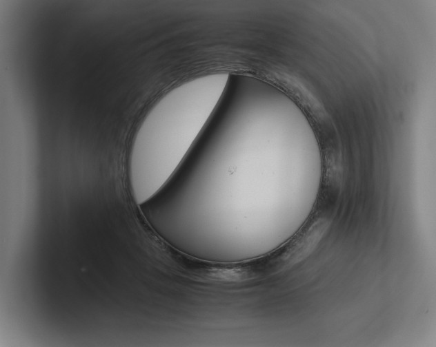 X0000102860457200808181029