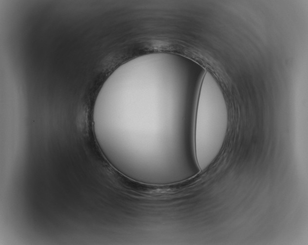 X0000102860461200808181029