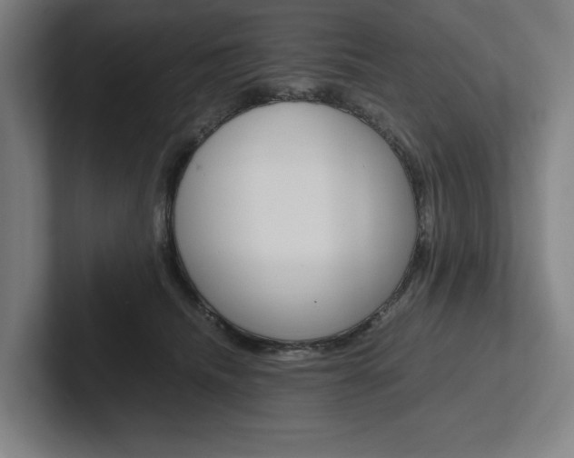 X0000102860468200808181029