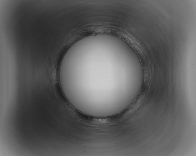 X0000102860469200808181029