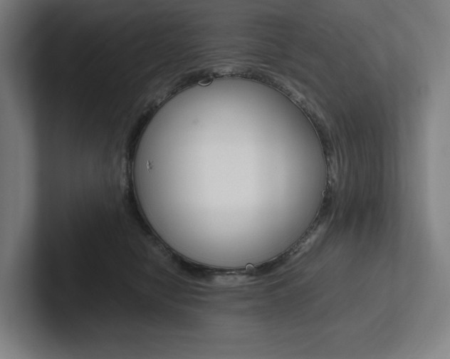 X0000102860470200808181029