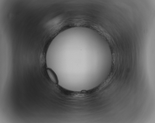 X0000102860471200808181029