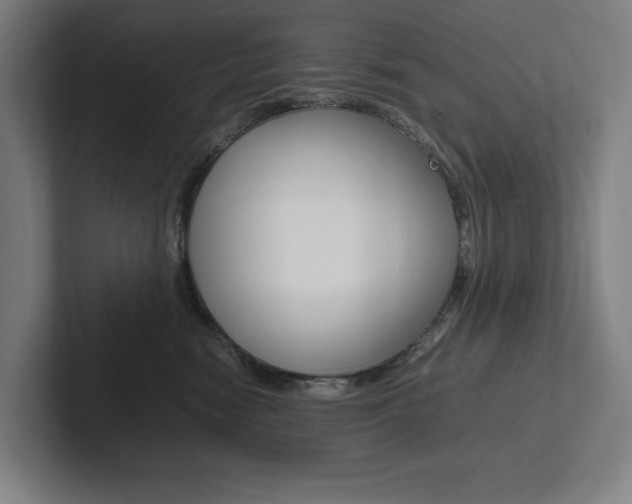 X0000102860474200808181029