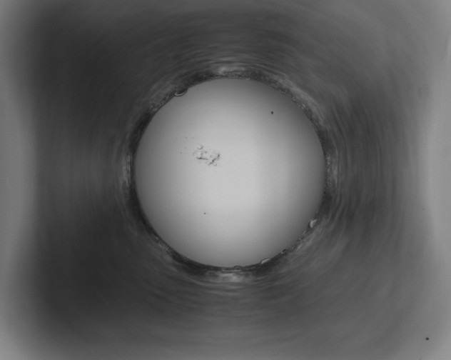 X0000102860475200808181029