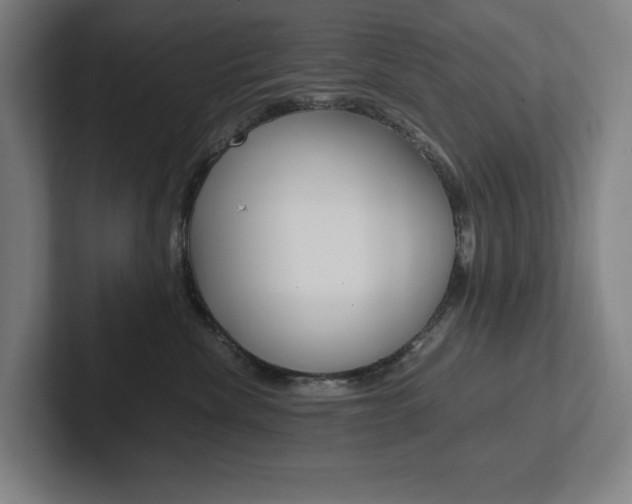 X0000102860476200808181029