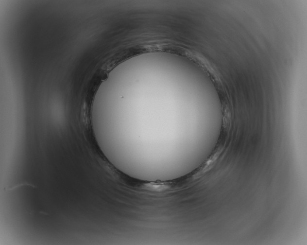 X0000102860477200808181029