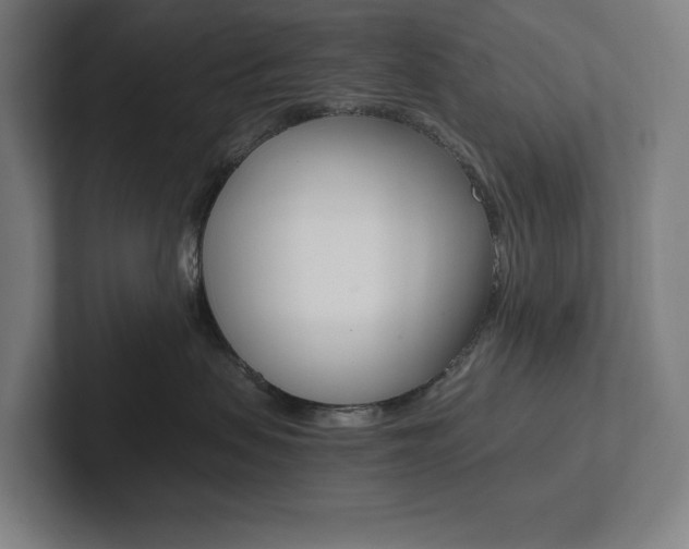 X0000102860479200808181029