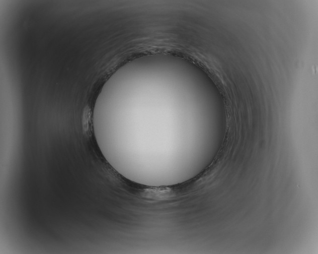 X0000102860480200808181029