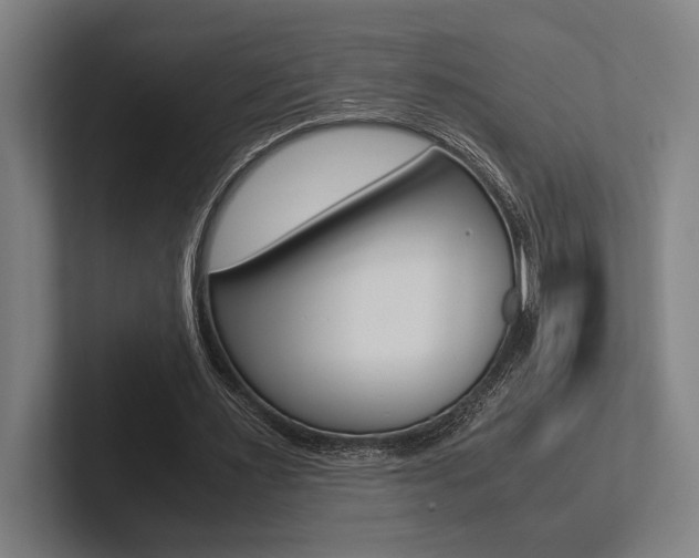 X0000102860483200808181028
