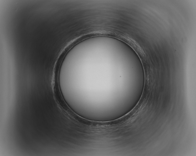 X0000102860484200808181028