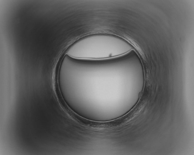 X0000102860485200808181028