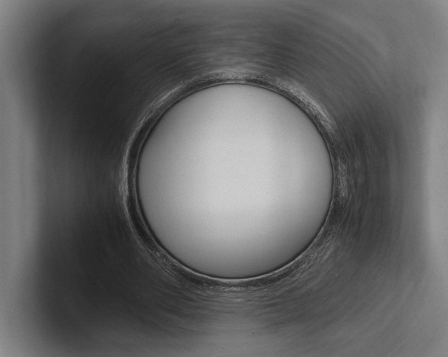 X0000102860486200808181028