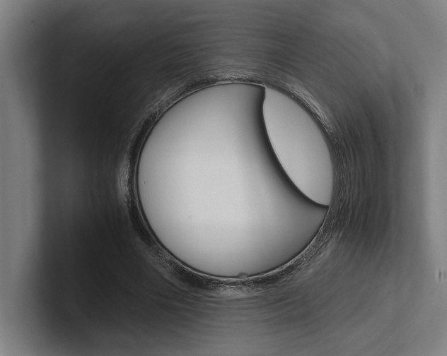X0000102860490200808181028