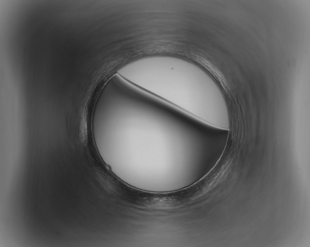X0000102860493200808181028