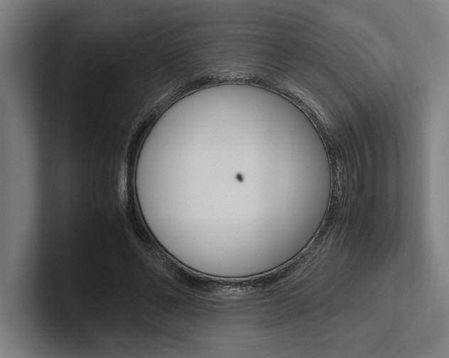 X0000102860494200808181028