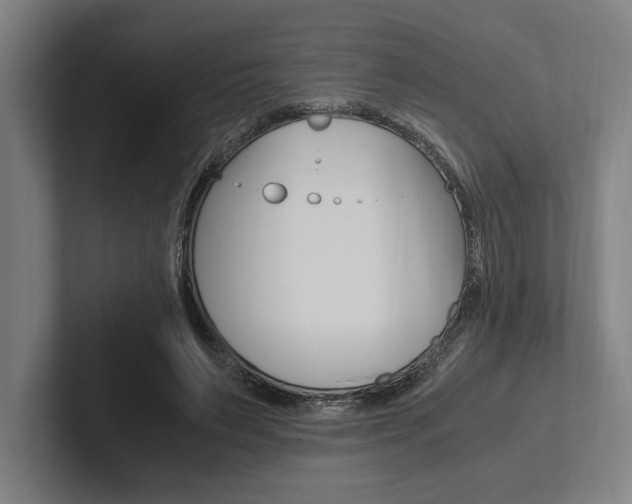 X0000102860495200808181028