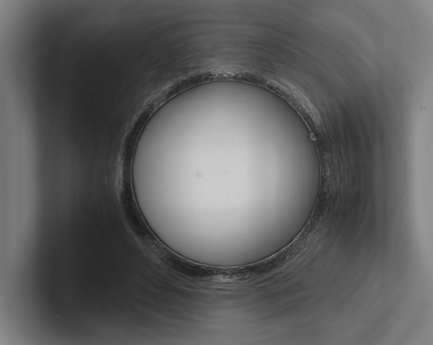 X0000102860496200808181028