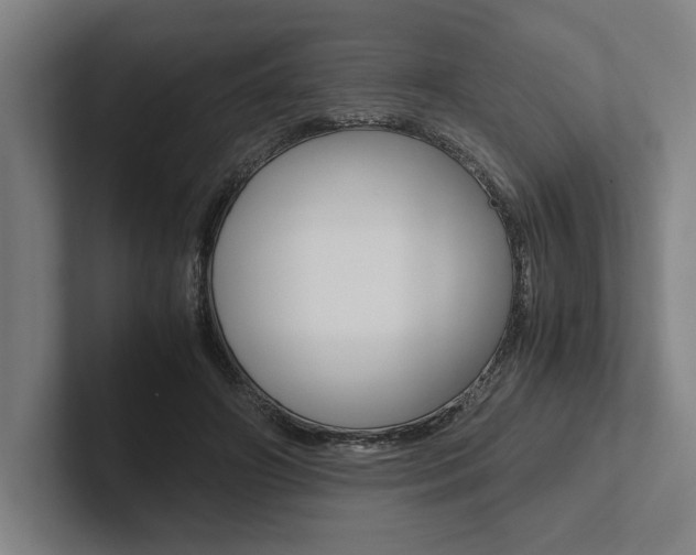 X0000102860498200808181028