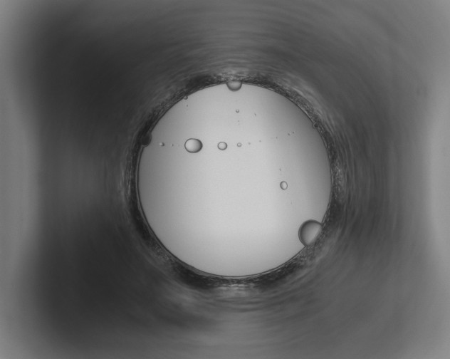 X0000102860499200808181028