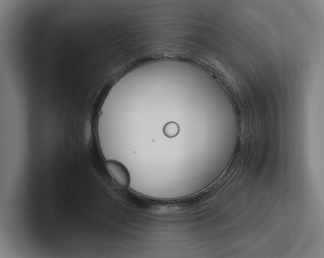 X0000102860500200808181028