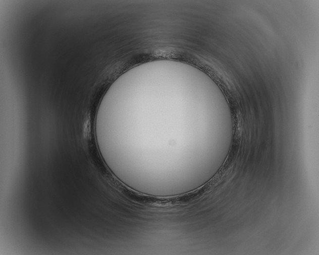 X0000102860502200808181028