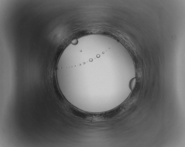 X0000102860503200808181028