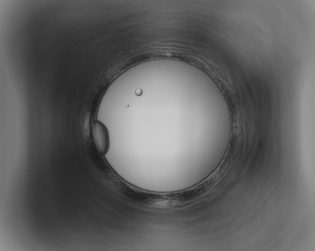 X0000102860504200808181028