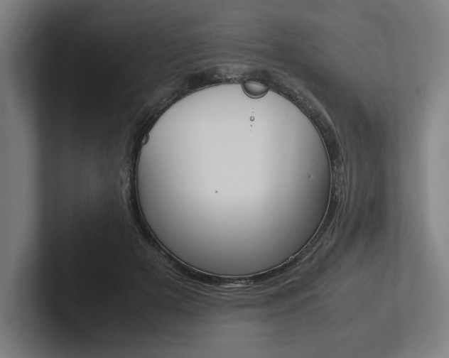 X0000102860505200808181028
