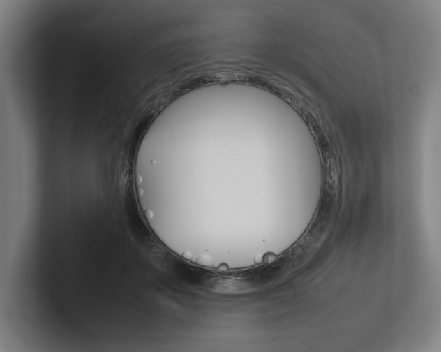 X0000102860507200808181028