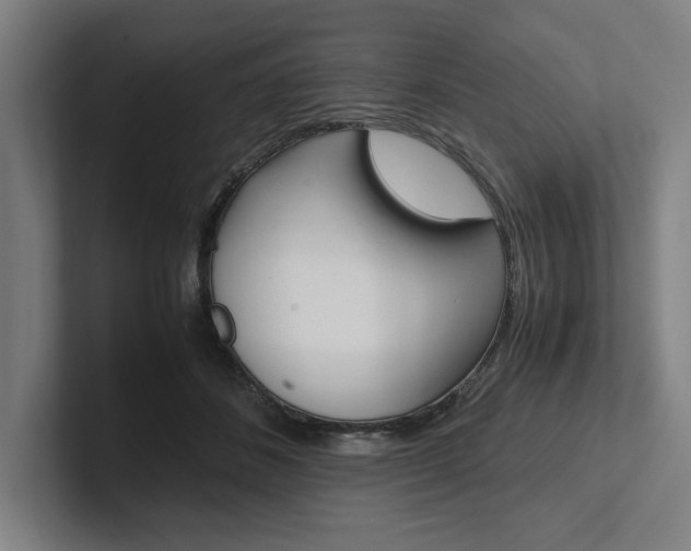 X0000102860508200808181028
