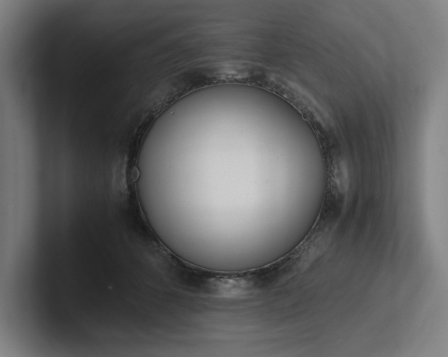 X0000102860512200808181028