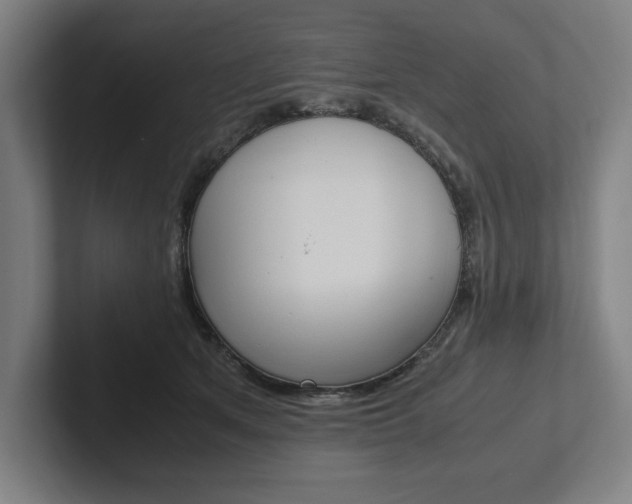 X0000102860513200808181028